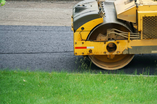 Best Local Driveway Pavers  in Frederic, WI